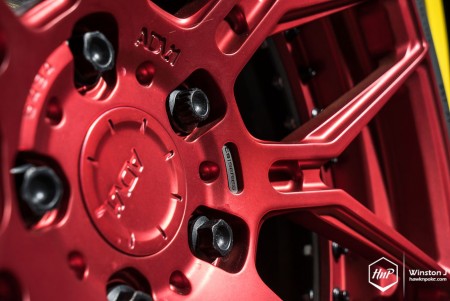 911advmalang-19 (Color Bloom! // Porsche 911 on ADV.1)