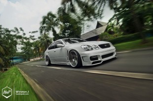 aristovip-15 (Profound Warrior // Richard’s Aristo on BC Forged)