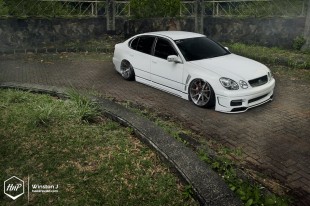 aristovip-16 (Profound Warrior // Richard’s Aristo on BC Forged)