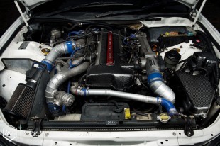 aristovip-18 (Profound Warrior // Richard’s Aristo on BC Forged)