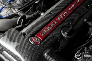 aristovip-19 (Profound Warrior // Richard’s Aristo on BC Forged)