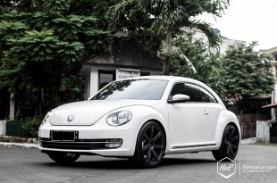 beetlegrora-02 (Permaisuri Thursday // Beetle on ERST Grora)