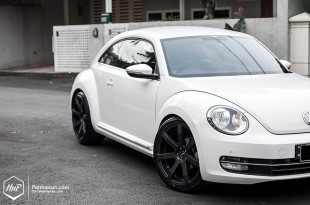 beetlegrora-03 (Permaisuri Thursday // Beetle on ERST Grora)