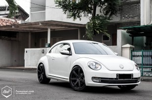 beetlegrora-04 (Permaisuri Thursday // Beetle on ERST Grora)