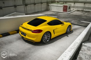 caymanpur-04 (Rebellion // Porsche Cayman on PUR)