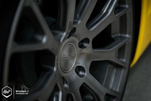 caymanpur-06 (Rebellion // Porsche Cayman on PUR)