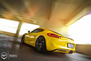 caymanpur-24 (Rebellion // Porsche Cayman on PUR)