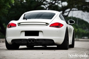caymanwhite-08 (White Knight // Cayman on HRE)