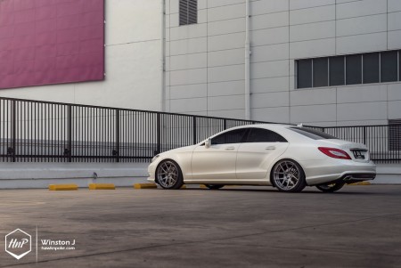 cls350adv-04 (Risks & Beauties // CLS350 on ADV.1)