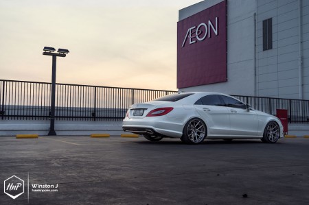 cls350adv-13 (Risks & Beauties // CLS350 on ADV.1)