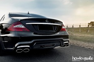 clsblackb-06 (Dark Harmony // Black Bison CLS on BC Forged)