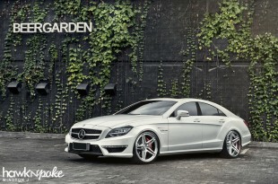 clsdpe-02 (The Performance Package // CLS63 AMG on DPE)