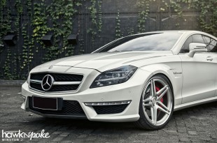 clsdpe-03 (The Performance Package // CLS63 AMG on DPE)