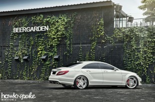 clsdpe-04 (The Performance Package // CLS63 AMG on DPE)