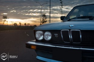e28swap-04 (Frozen in Time // Ferdian’s Mint M30B35 E28)