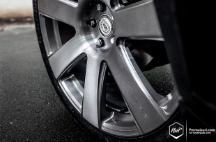 evoquedpe8-01 (Permaisuri Thursday // Evoque on DPE Elite 7)