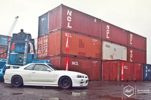 gtrsbyvspec-20 (Irresistible Beast // R34 GT-R V-Spec from Surabaya)