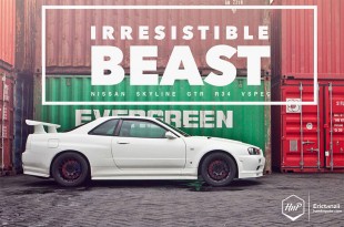 gtrsbyvspec-22 (Irresistible Beast // R34 GT-R V-Spec from Surabaya)