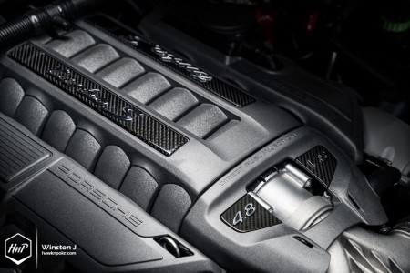 panameraadv-14 (Velvet Star // Porsche Panamera Turbo S on ADV.1)