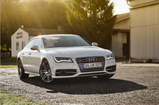 pifgofar-07 (Photographer in Focus // Mahaendra Gofar)