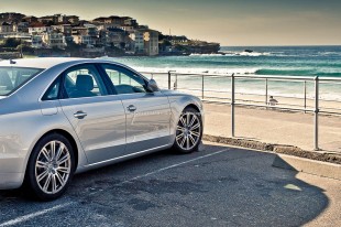 pifgofar-11 (Photographer in Focus // Mahaendra Gofar)