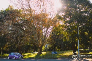 r32alphards-17 (No Boundaries // Ray’s MKV R32 on Alphards)