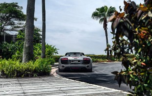r8hrefrozen-01 (Sinister Sight // Frozen Grey Audi R8 V10 Spyder on HRE)