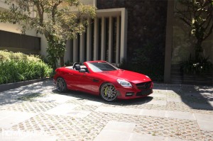 redslkadv-07 (Stepping Up // SLK on ADV.1)