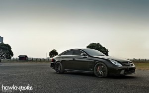 wjul2012S (July Wallpaper // Black Bison CLS)